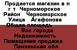 Продается магазин в п.г.т. Черноморское  › Район ­ Черноморское › Улица ­ Агафонова › Общая площадь ­ 100 - Все города Недвижимость » Помещения продажа   . Пензенская обл.,Мокшанский р-н